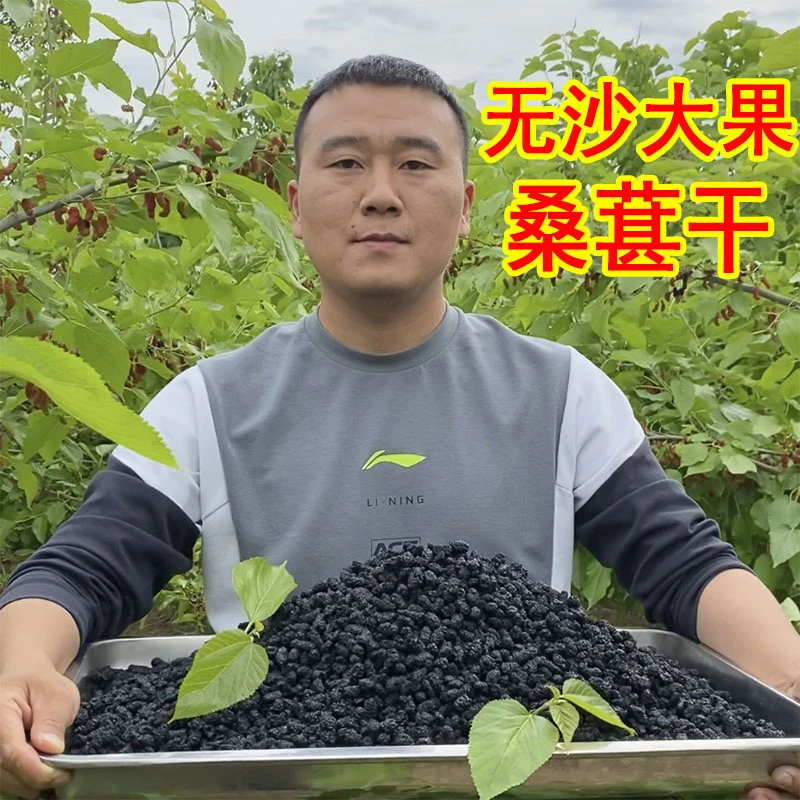 桑葚干200克罐装水洗无沙黑桑葚茶干新鲜桑葚子即食玫瑰桑葚茶