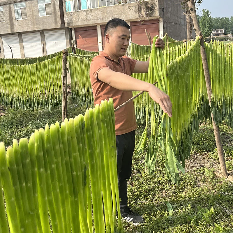 2025年冬季贡菜500克安徽亳州义门新鲜手工苔干菜250克响菜干苔菜