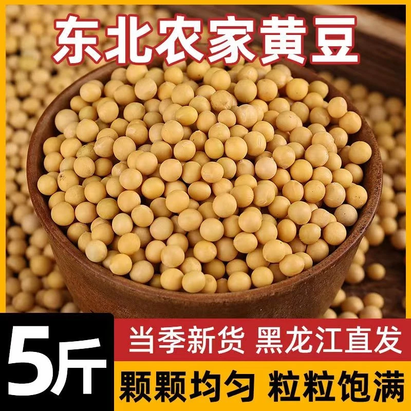 东北农家自产黄豆当季新豆黑土地黄豆7t