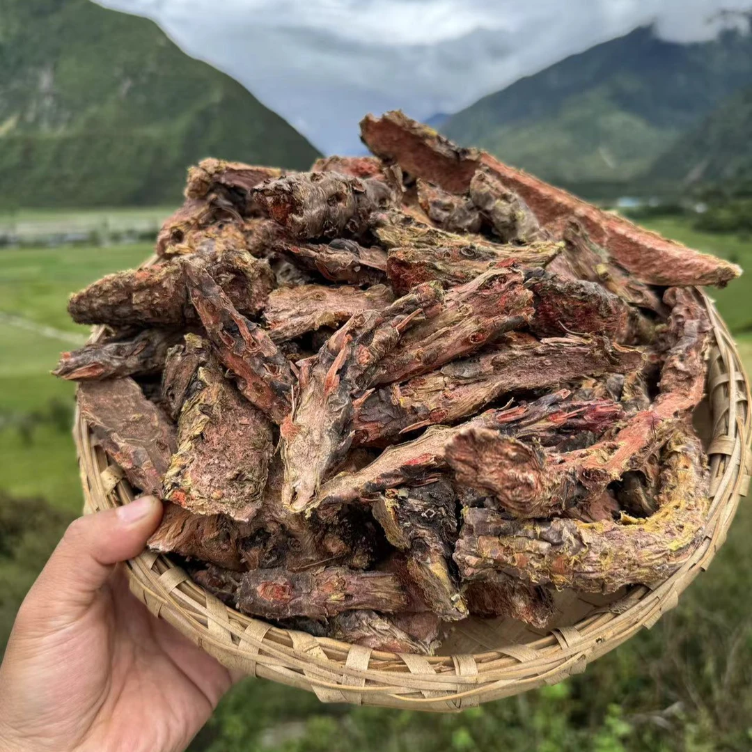 【西藏直发】高海拔大花红景天正品红景天切片磨粉高原