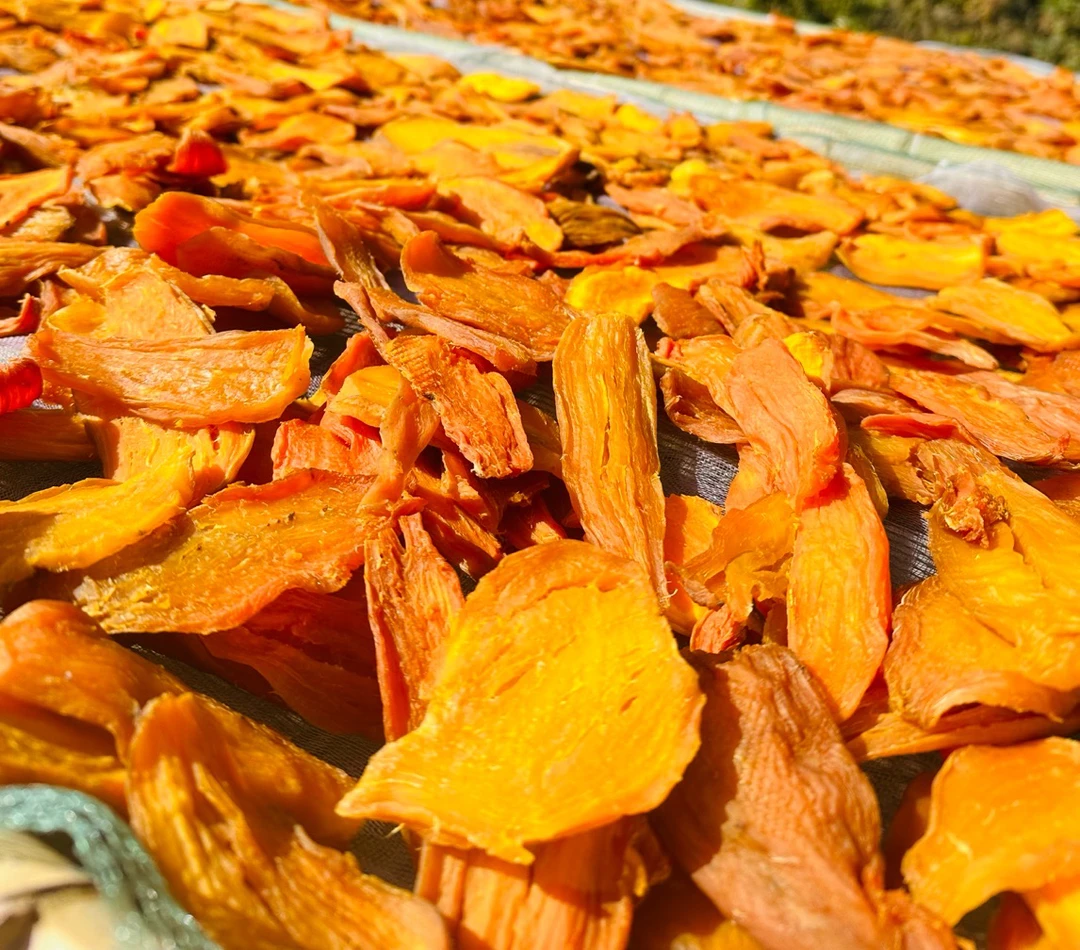 永嘉本地番薯枣（本地牡丹薯、干一点）