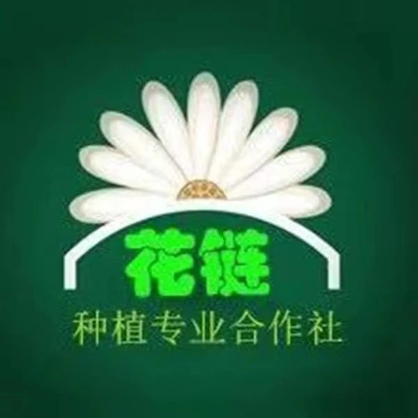 【混色瑕疵花】云南基地直发 香水百合养护修剪