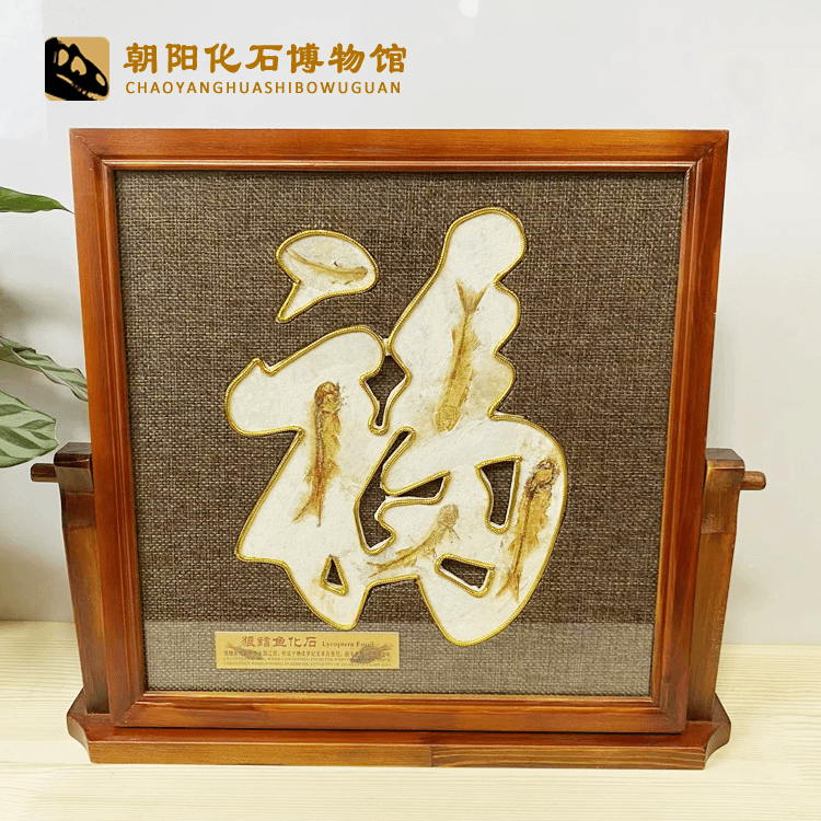 天然古生物化石标本原石福字摆件实木框装裱收藏送礼摆台相框