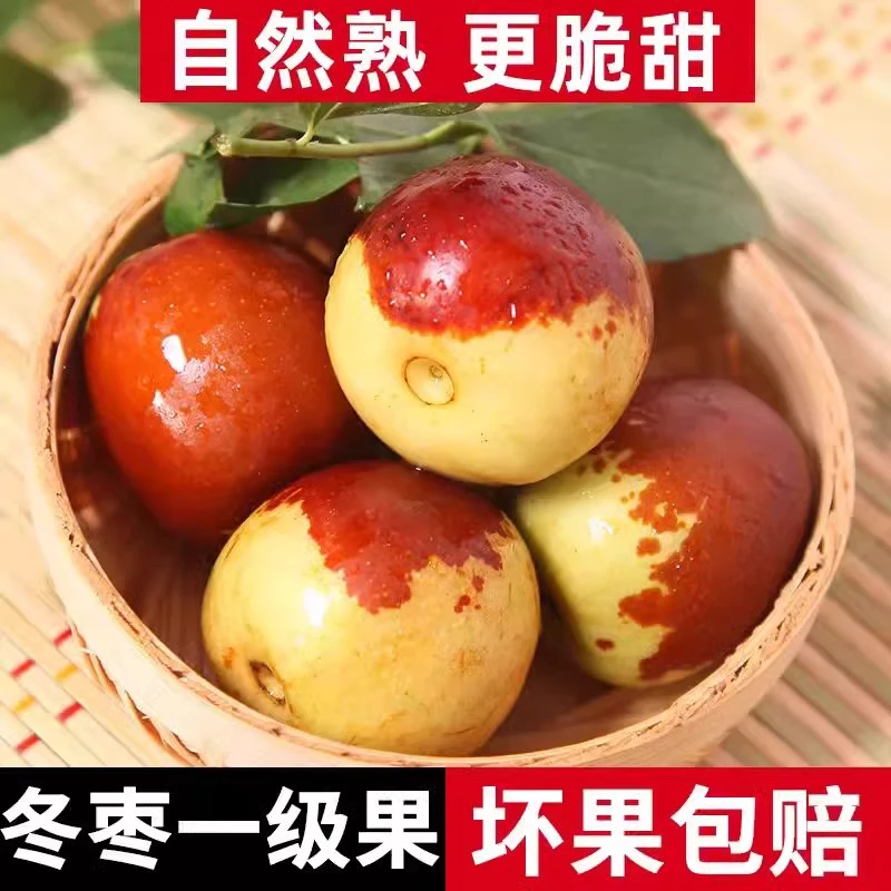 沾化冬枣新鲜中大果枣水果脆甜鲜枣青枣整箱冰糖枣子5斤包邮