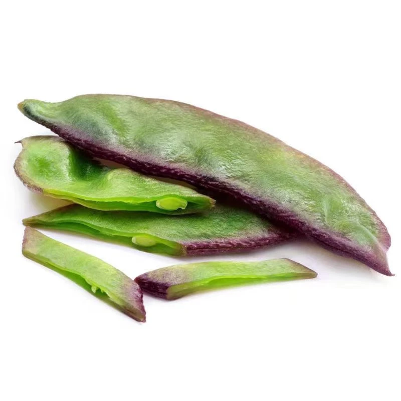 【紫边眉豆种子】四季易播紫边眉豆种子紫边眉豆猪耳朵春秋蔬菜种