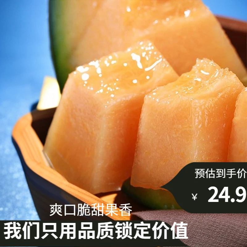 【新疆哈密瓜王包邮】西州蜜17号当季现摘大果口感脆甜汁多产地发货