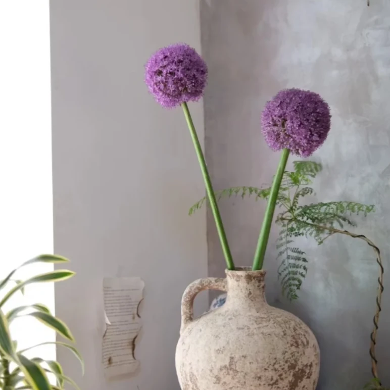 大葱花丨紫色棒棒糖