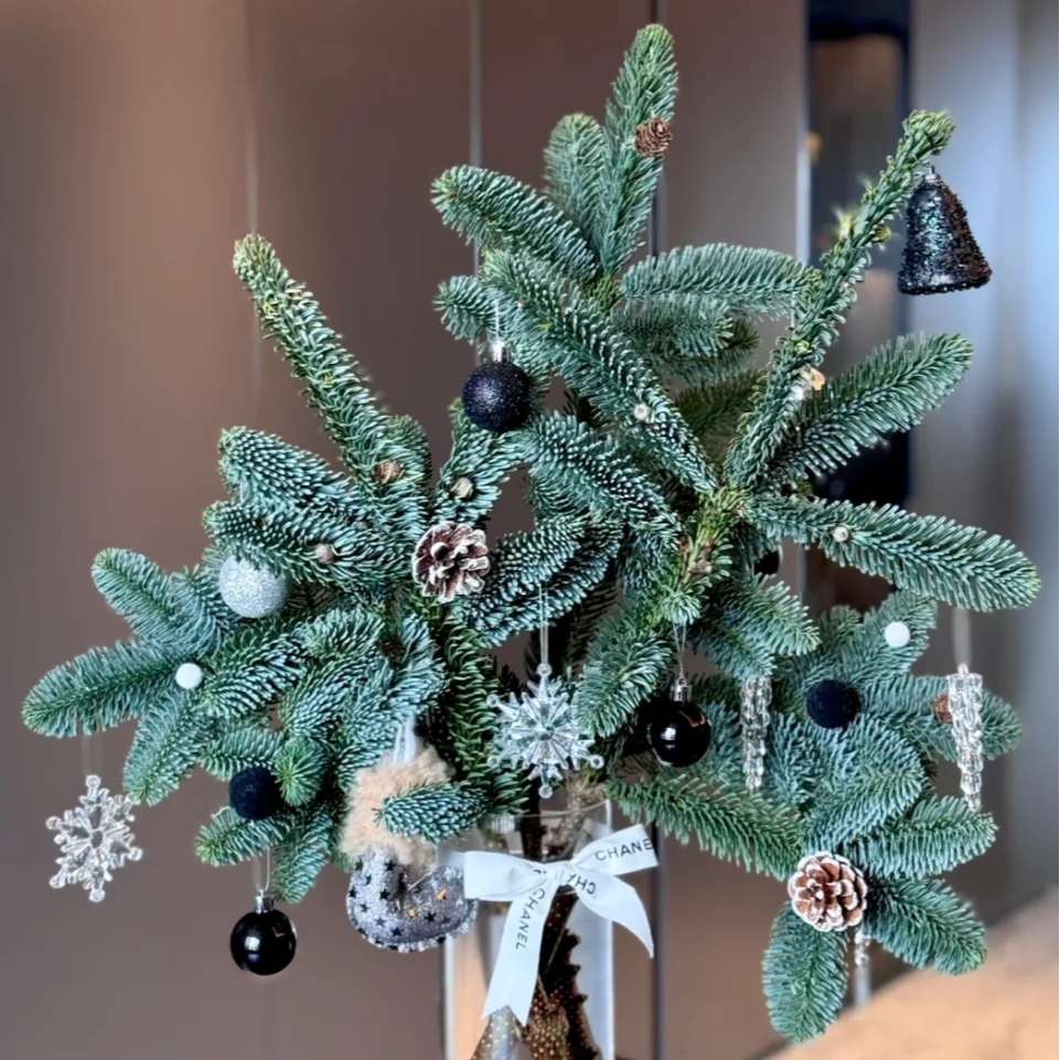 诺贝松丨圣诞花材  长花期   清香淡雅