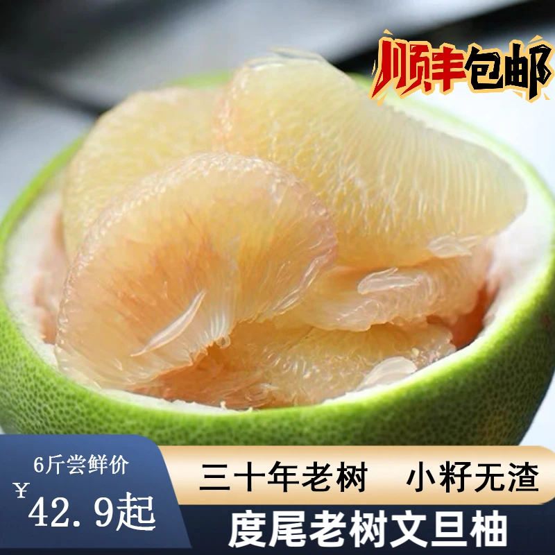 「顺丰包邮」度尾文旦柚孕妇水果果场直发三十年老树
