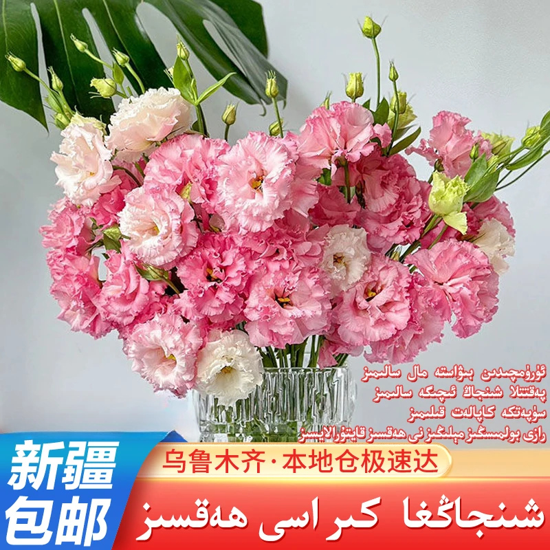 【新疆包邮】重瓣洋桔梗花种子四季播种开花易活花卉种孑庭院室外