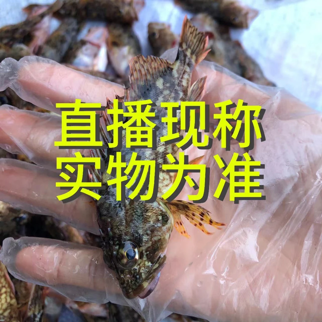 【A现称改价链接】鱼虾螺蟹海鲜 5斤起拍 不退货