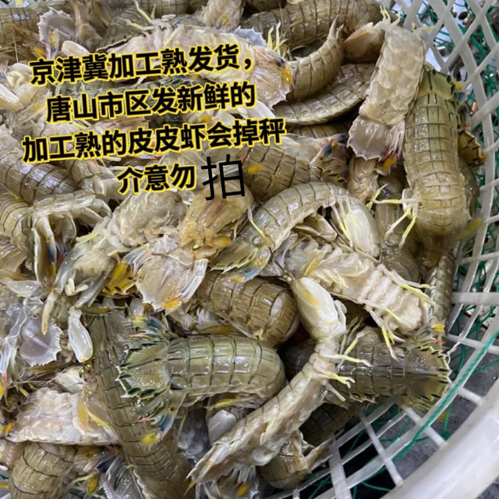 断氧皮皮虾（加工，熟了之后掉秤3-5斤