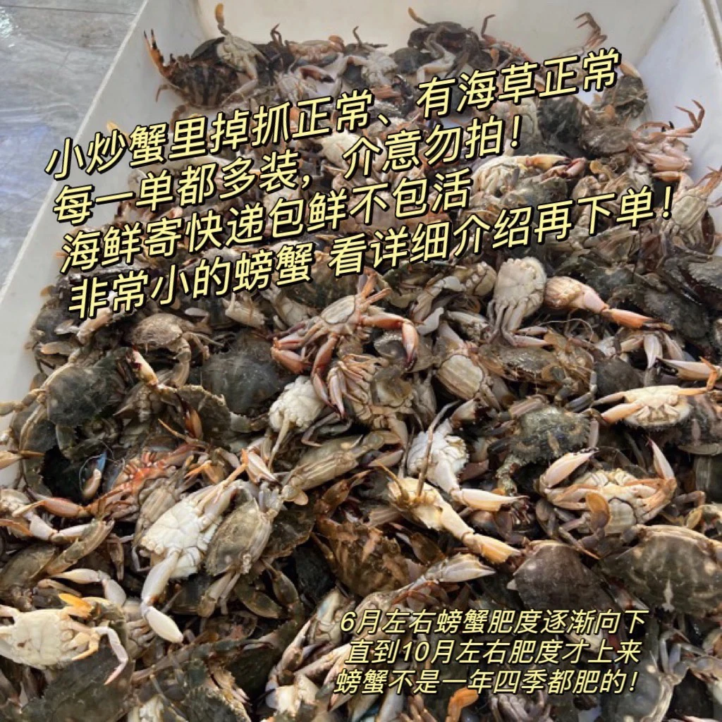 本地小花盖蟹!4斤 个头小 一两以下的!嫌小勿拍 生腌辣炒合适