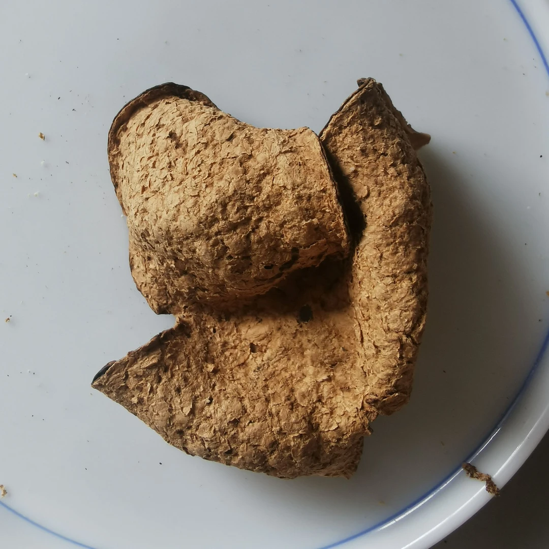 谊沏新会老陈皮|临时链接