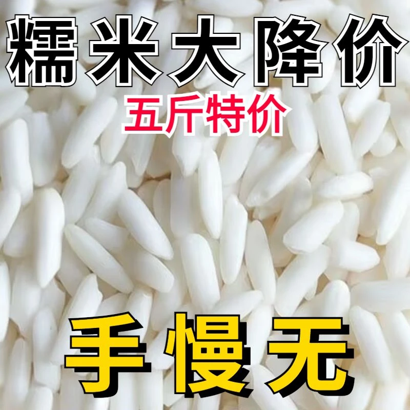 5斤大降价】新鲜长糯米长江米高粘度软糯包粽子酒酿五谷杂粮颗粒饱