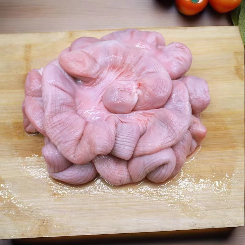 精选生鲜猪仔肠猪儿肠新鲜猪脆肠猪生肠花肠子精选猪儿肠商用速冻