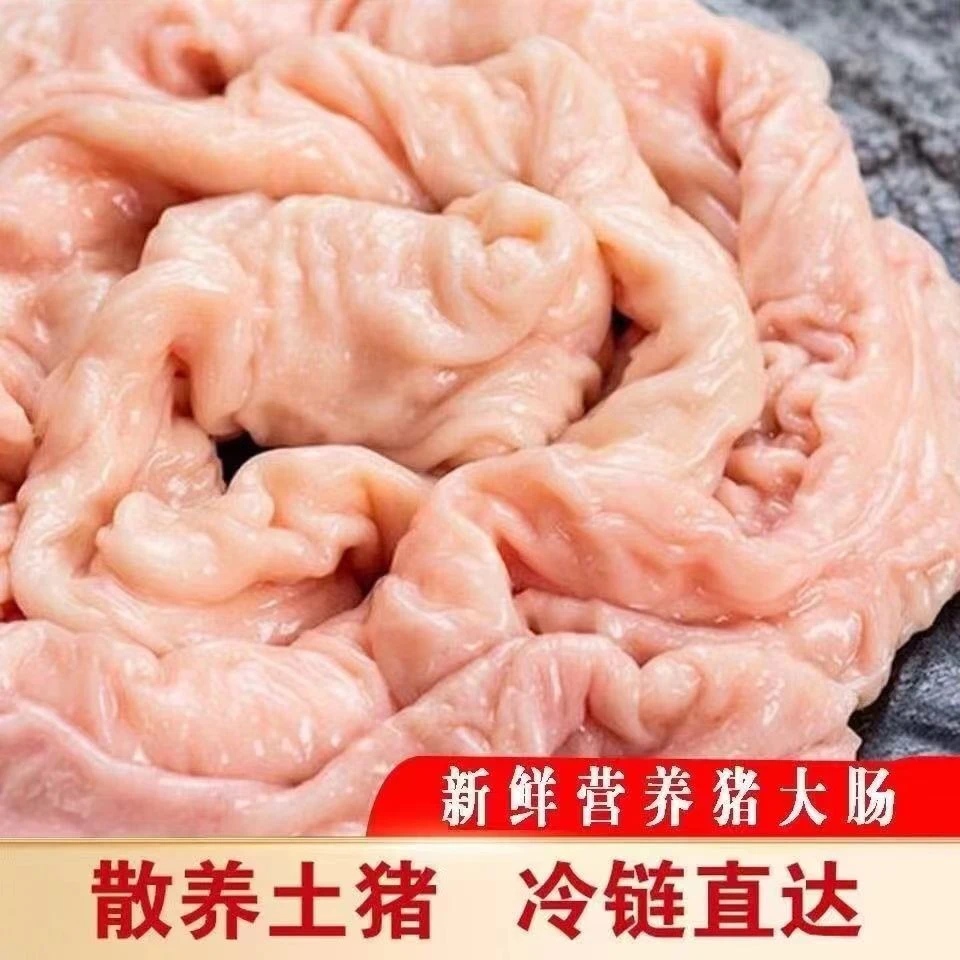 食用鲜猪大肠猪肥肠包赔包赔子生猪大肠半熟家用商用冷冻真空包装