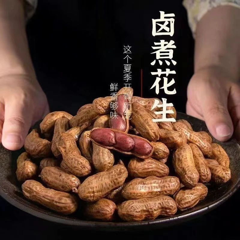 两包两斤带汁卤煮花生带壳卤五香盐水香辣花生下酒菜零食啤酒夜宵