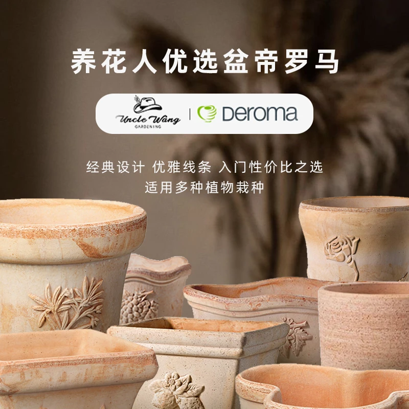 种花王大爷 帝罗马进口陶盆手工陶盆花盆北欧简约花园