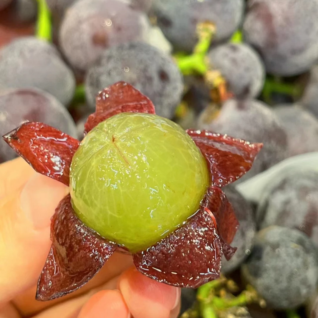 辽峰葡萄一串(2.5斤左右)