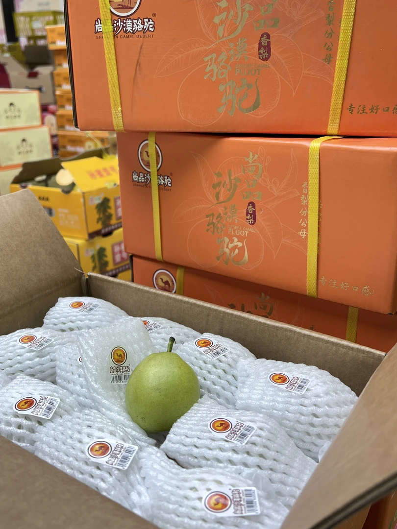 沙漠驼梨『一    箱』