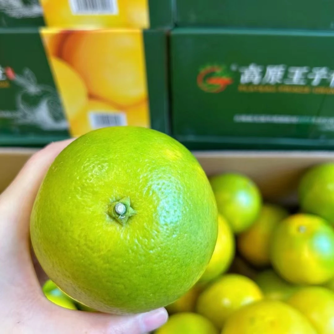 高原王子橙（一个）