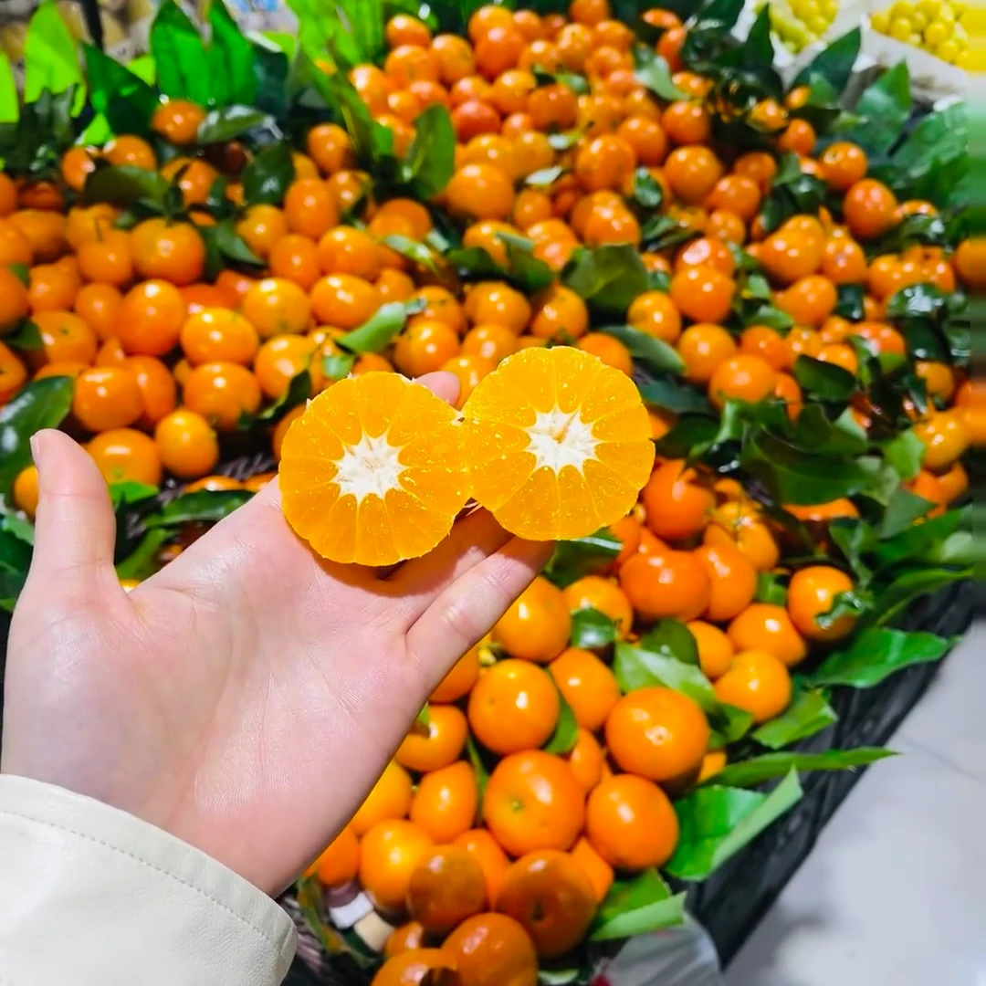 沙糖桔『一    盒』（毛重10斤左右）