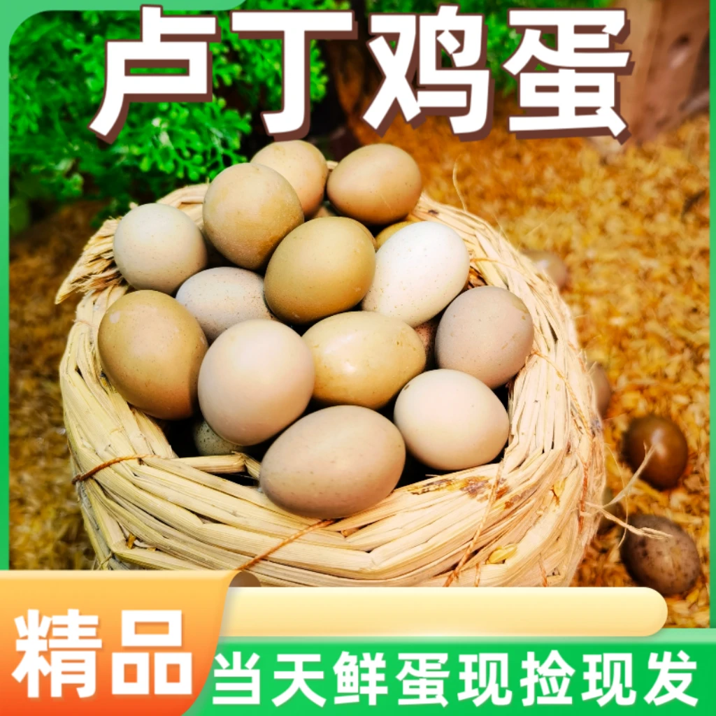 芦丁鸡蛋全色现捡现发网红迷你小鸡蛋德系纯白新鲜健康食用农产品