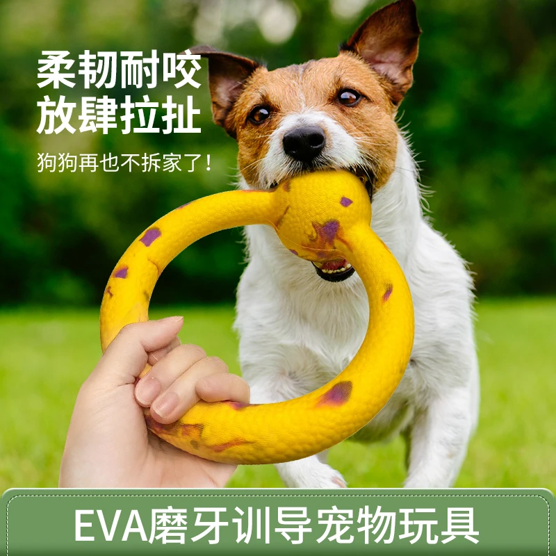 狗狗玩具EVA弹力球拉力环自嗨解闷狗狗互动训练磨牙耐咬宠物玩具