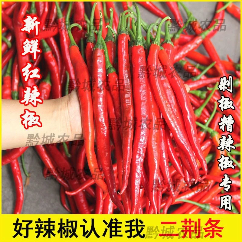 贵州本地新鲜红线椒红辣椒红二荆条红海椒辣子红青椒做剁椒辣椒酱