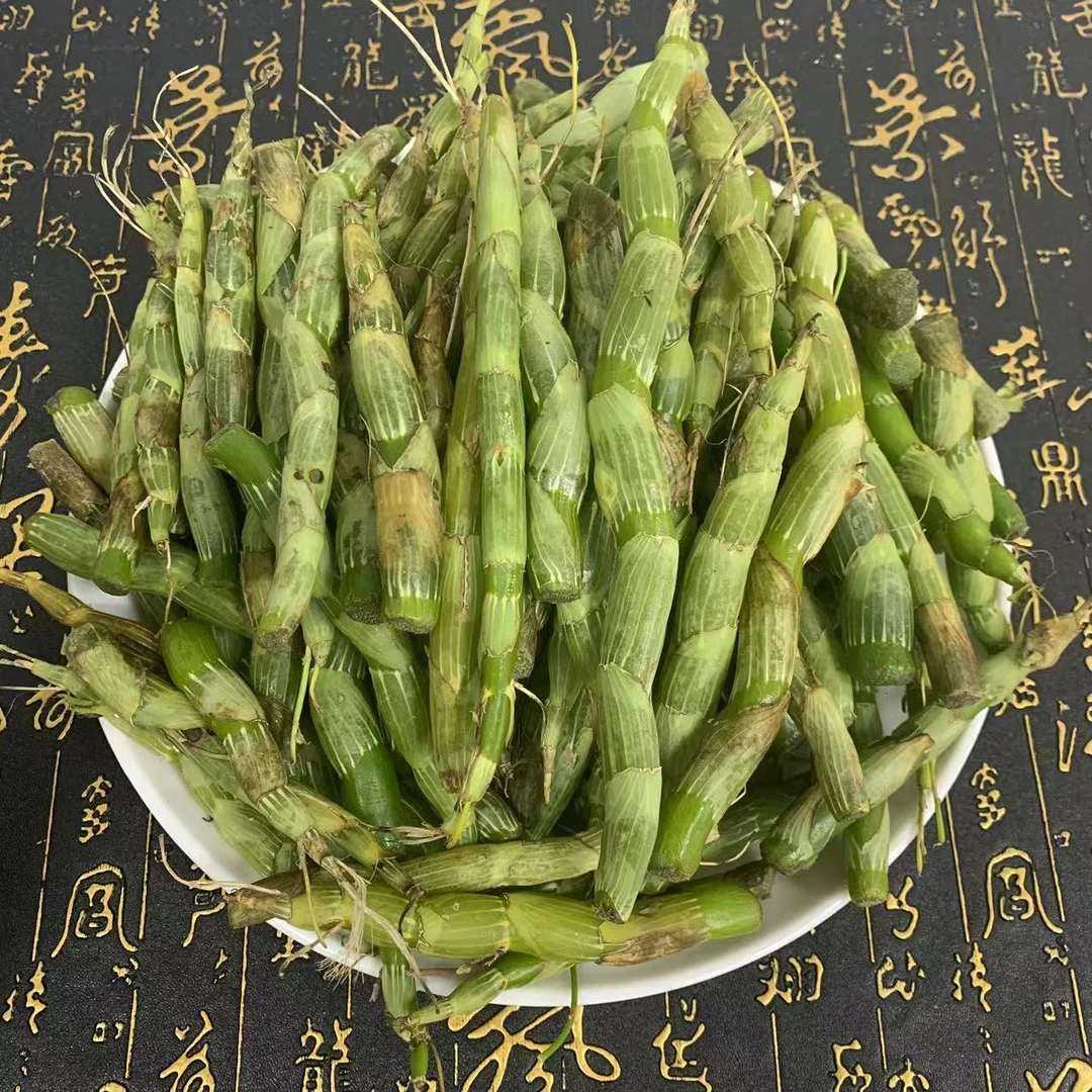【幸子双十一庆典】鲜鲜珍虫石 角斗条 (胶)