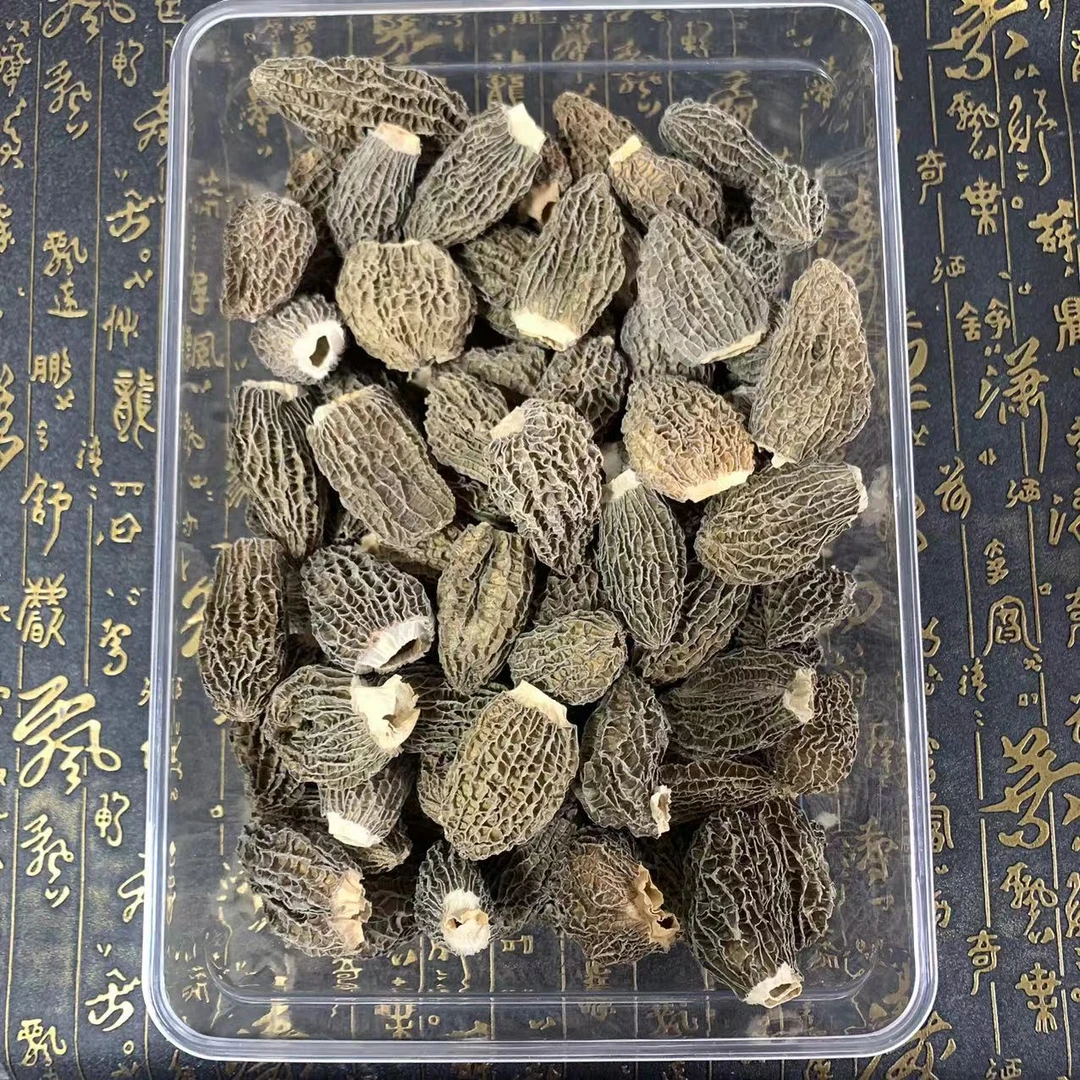 【浪漫七夕】半野FQ60568羊肚菌（胶）