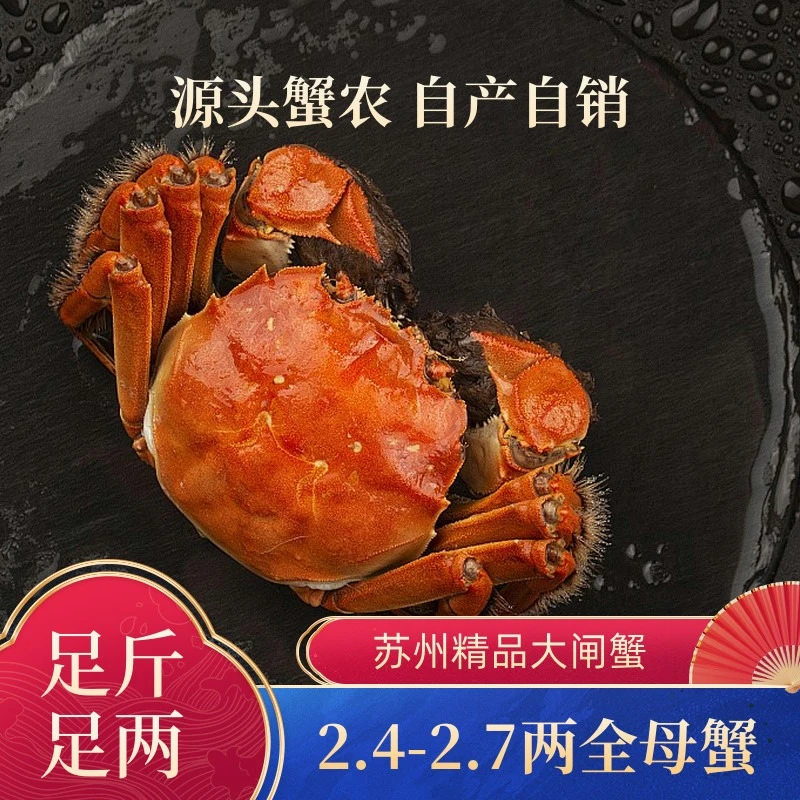 （活蟹）苏州精品大闸蟹礼盒2.4-2.7两6只全母蟹国庆送礼螃蟹鲜活