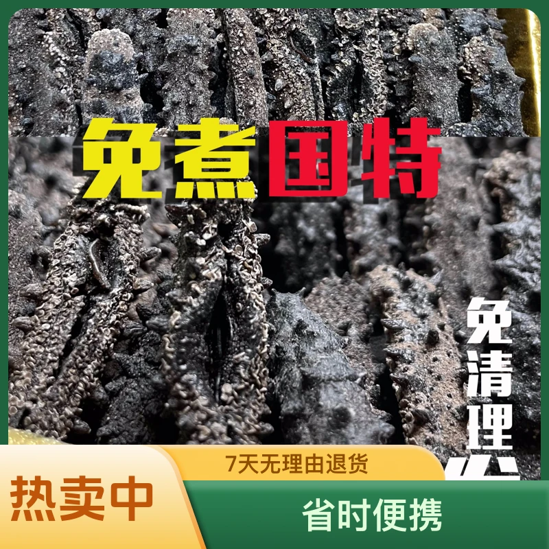 【国标特级免煮免泡发免清理高营养开口】高品质海参省时便携