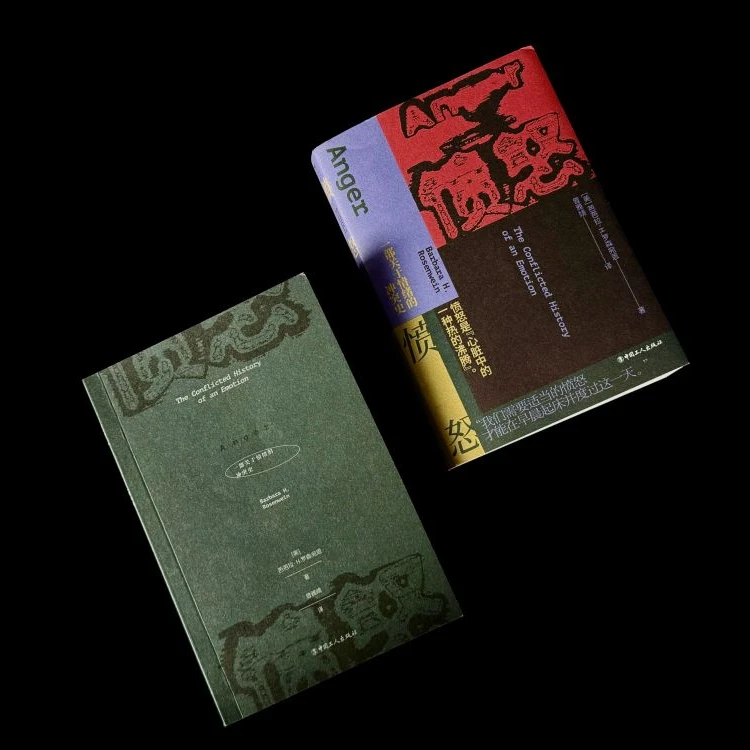 愤怒：一部关于情绪的冲突史  情绪史  万川·中国工人出版社