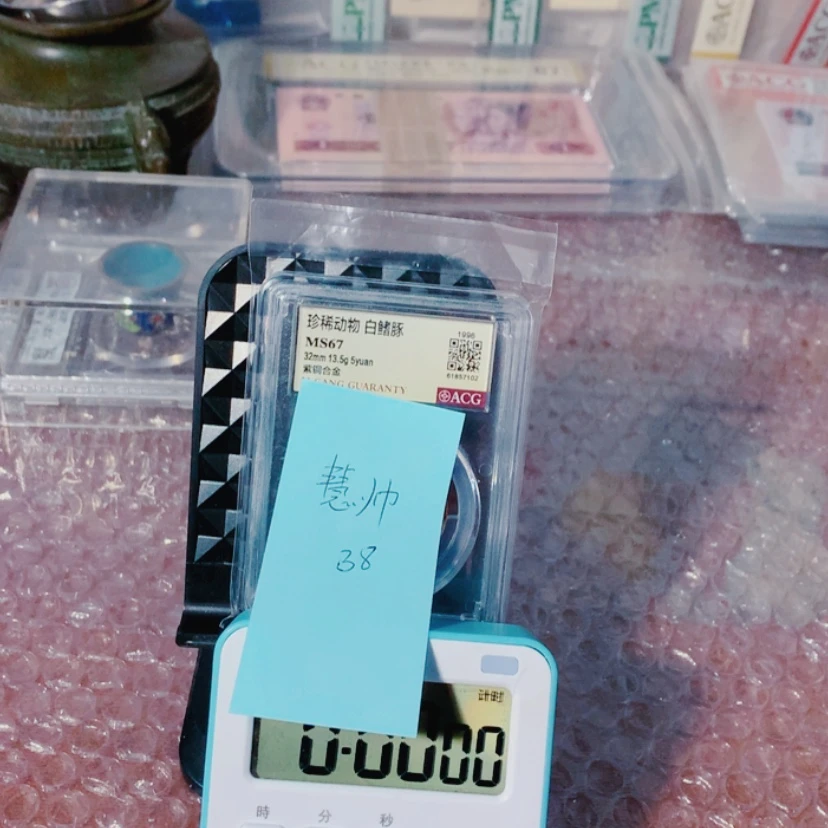 【闪购商品】?*帅白鳍豚
