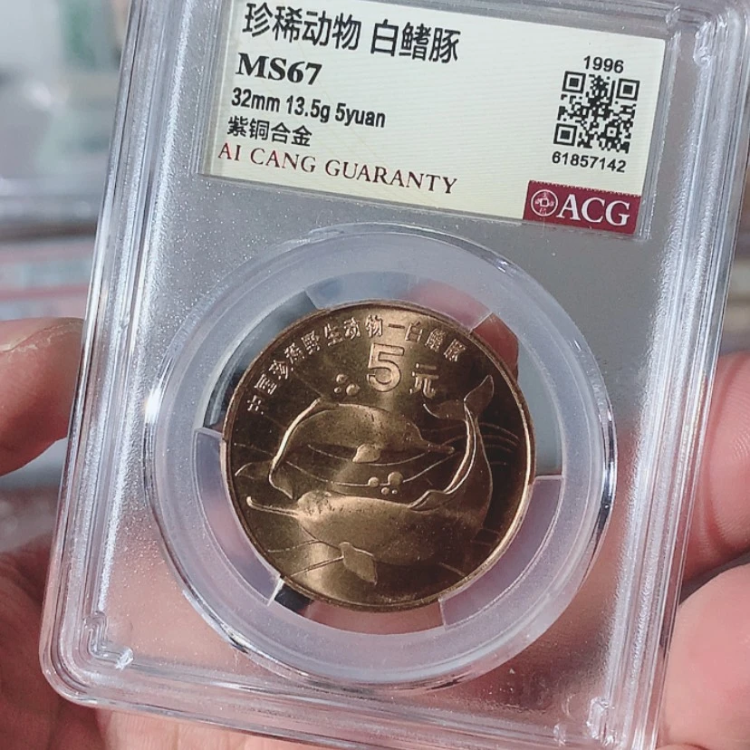 【闪购商品】零****?白鳍豚