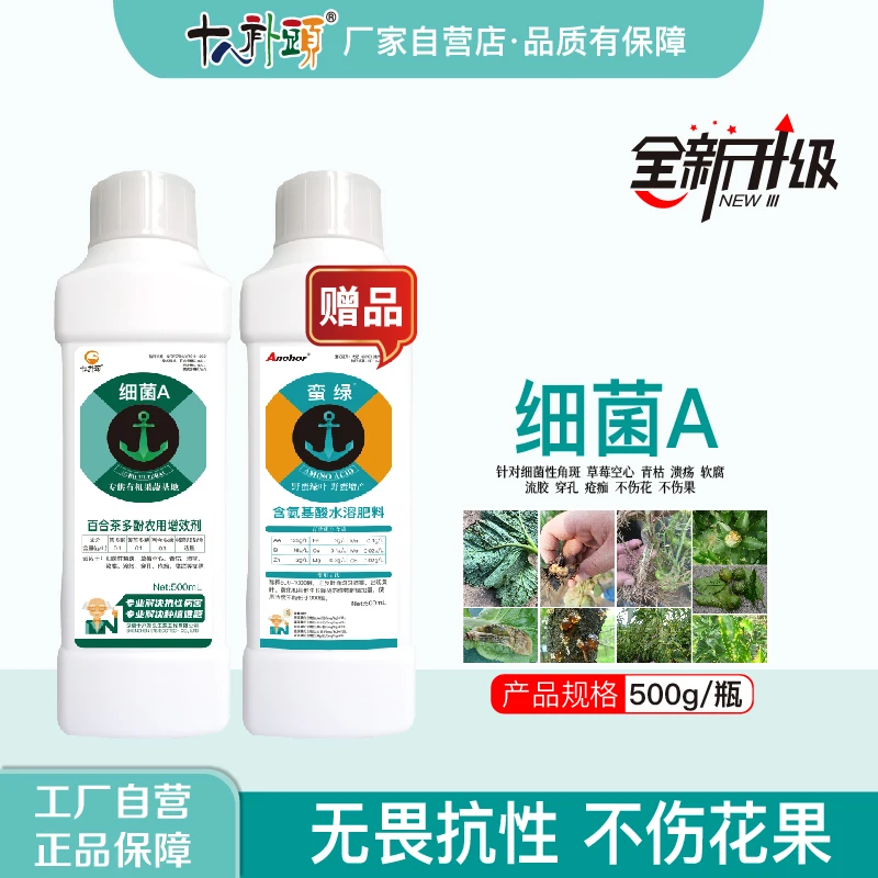 【细菌套餐】高抗性细菌性角斑溃疡青枯软腐 特别效果进出口