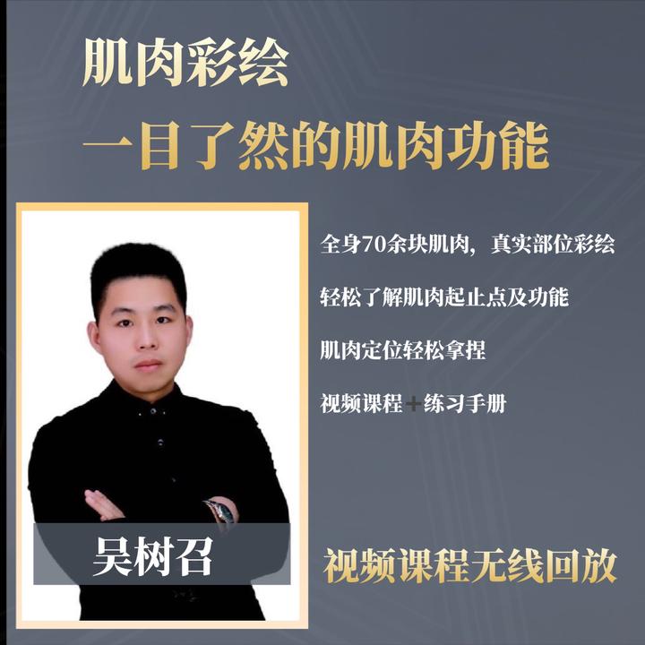 肌肉解剖彩绘课程，60+肌肉彩绘