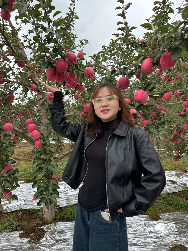杨师娘家的红富士苹果有冰雹点介意着勿拍，冰雹点不做售后