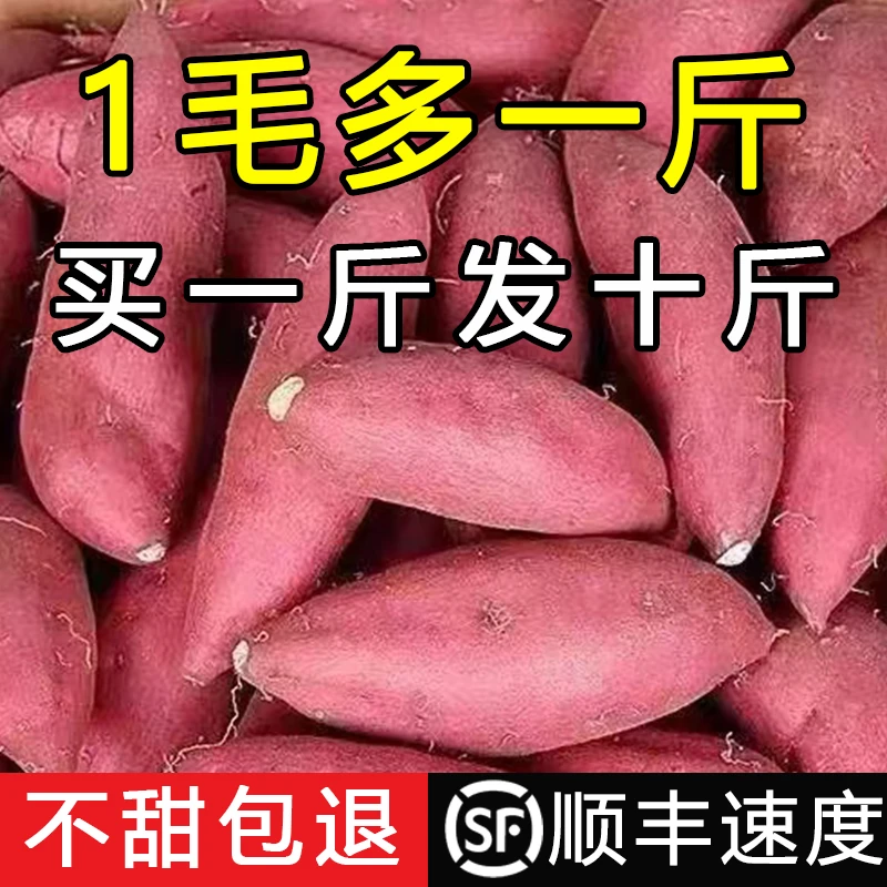 【抢购中】超甜沙地红薯2-9斤新鲜地瓜西瓜红番薯蔬菜水果整箱包邮