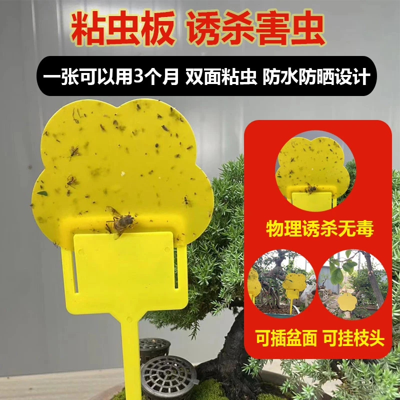 粘虫板诱杀害虫双面黄板蚜虫小黑飞蚊虫蓟马配地插挂枝头诱捕