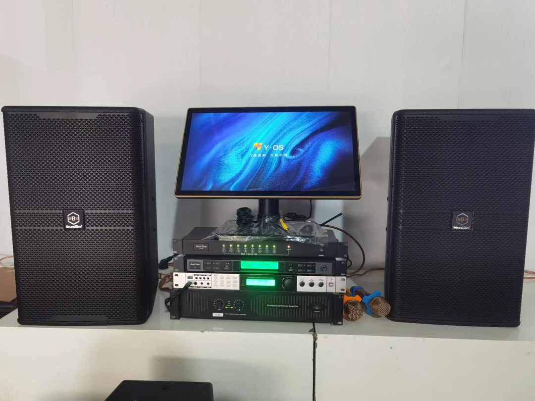 家庭会议KTV功放音箱唱歌演出酒吧大功率重低音专业音响音响套装