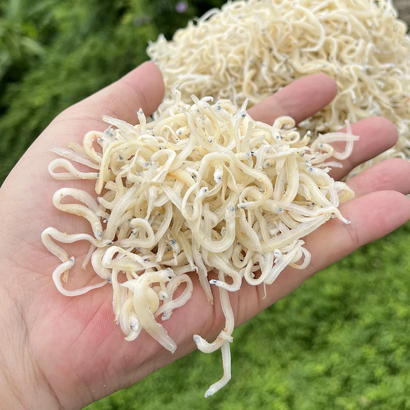 【海铲兄妹】台山特产上川岛 面条鱼干 海产干货250/500克