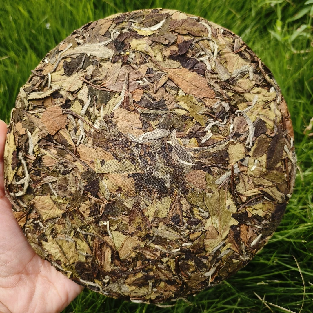 福鼎白茶2020寿眉饼茶工厂源头茶饼好茶味道