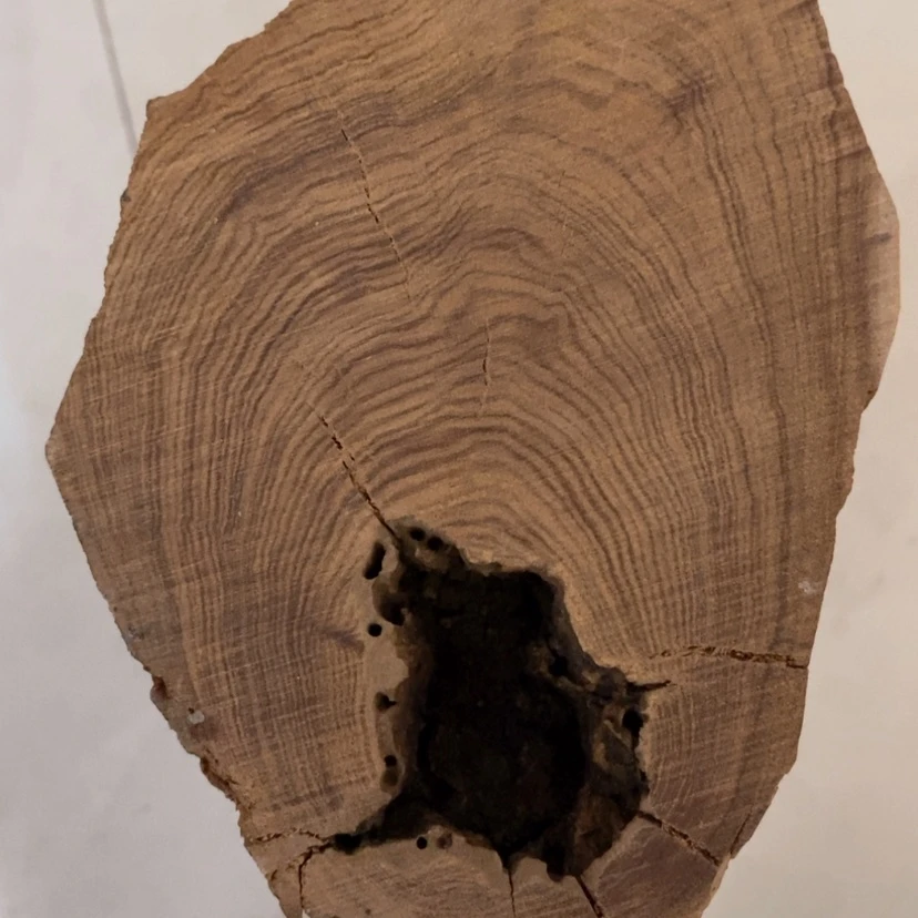 【闪购商品】檀木山***溪老山檀香奶香