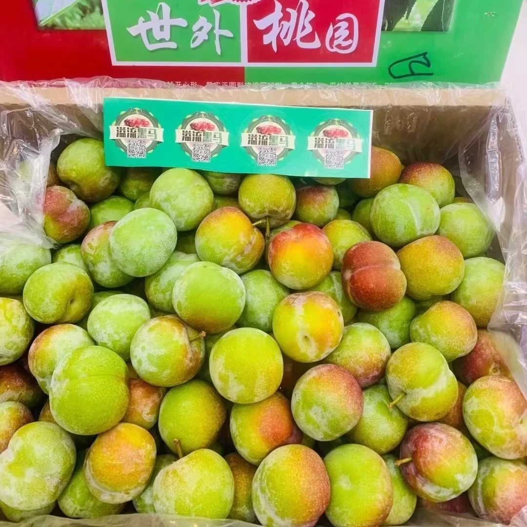 精品青红脆李500g（±50g）/份【配送到家】