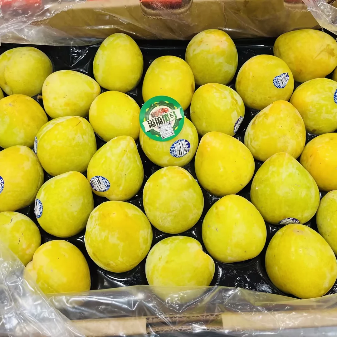 溢流黑马新鲜到货翡翠李特级果500g（±50g）/份（配送到家）