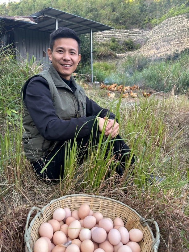 武夷山农村人散养土家蛋新鲜整箱营养好吃