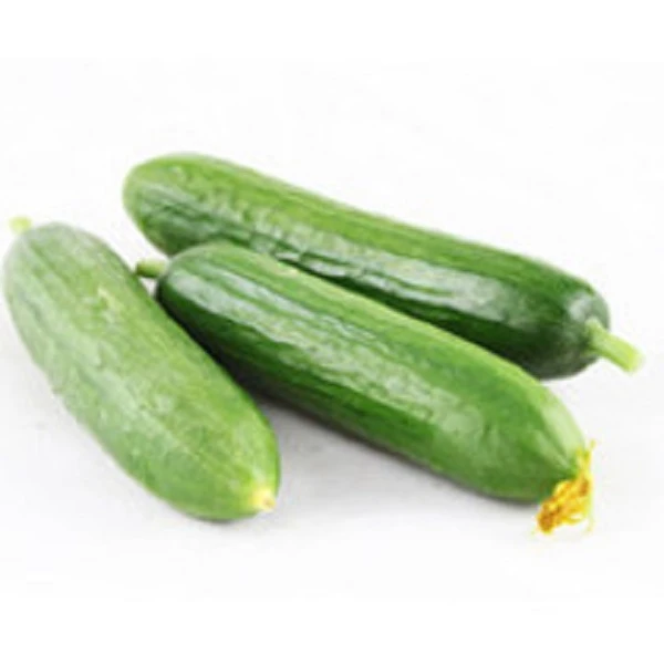 水果黄瓜 1斤黄瓜同城送黄瓜同城配